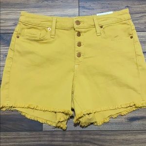 NEW Mustard Yellow Shorts High Rise